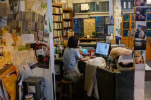 A woman working on a computer in a cozy, messy bookstore with a cat nearby.